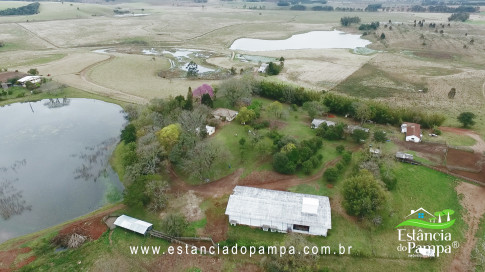 DA VARZEA ATE O GADO NA COXILHA.00_02_49_15.Quadro031_63e883957276e7f62599249bc1a374861c065d95.jpg